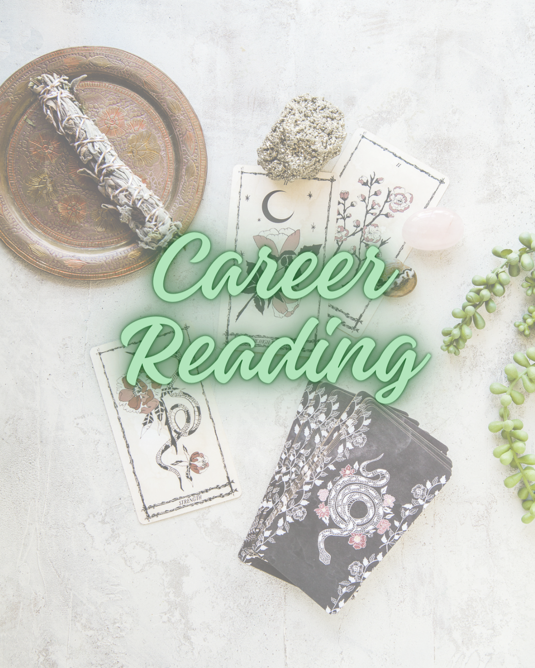 Career Reading